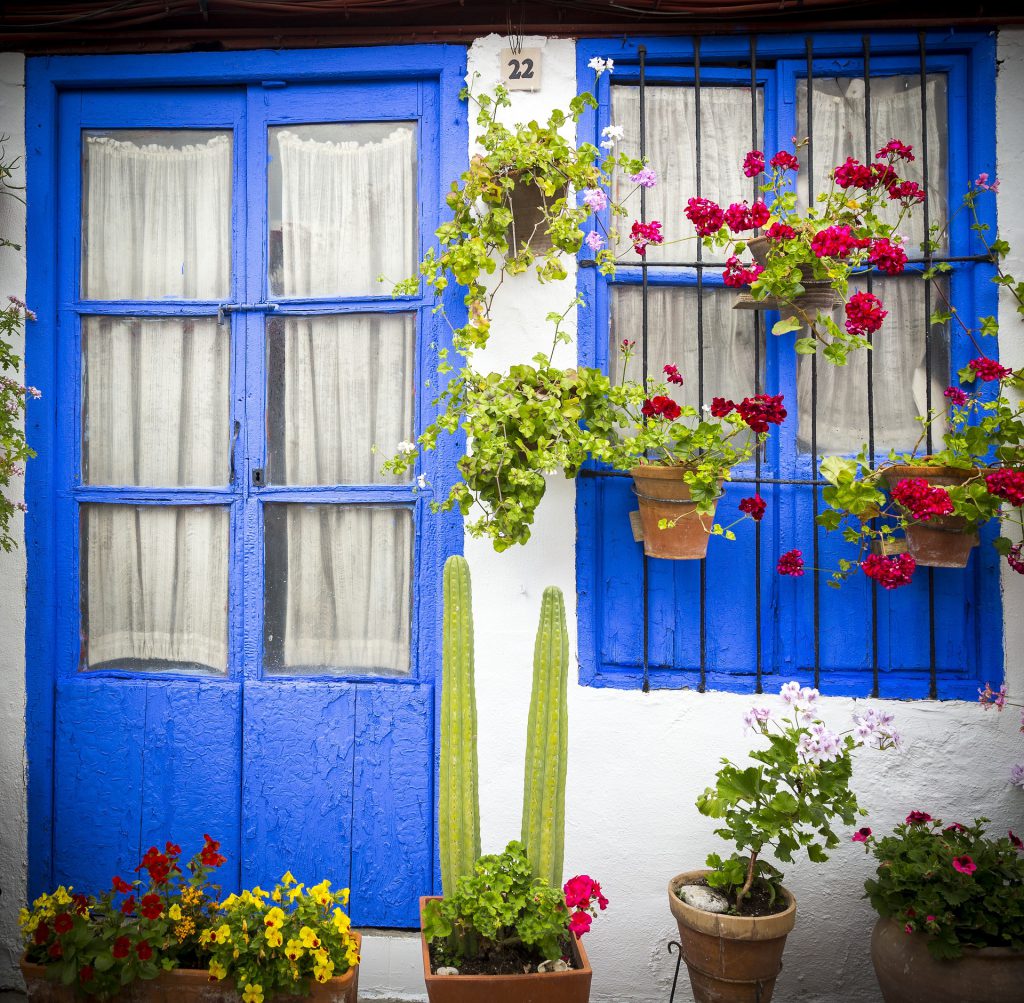 patio azul